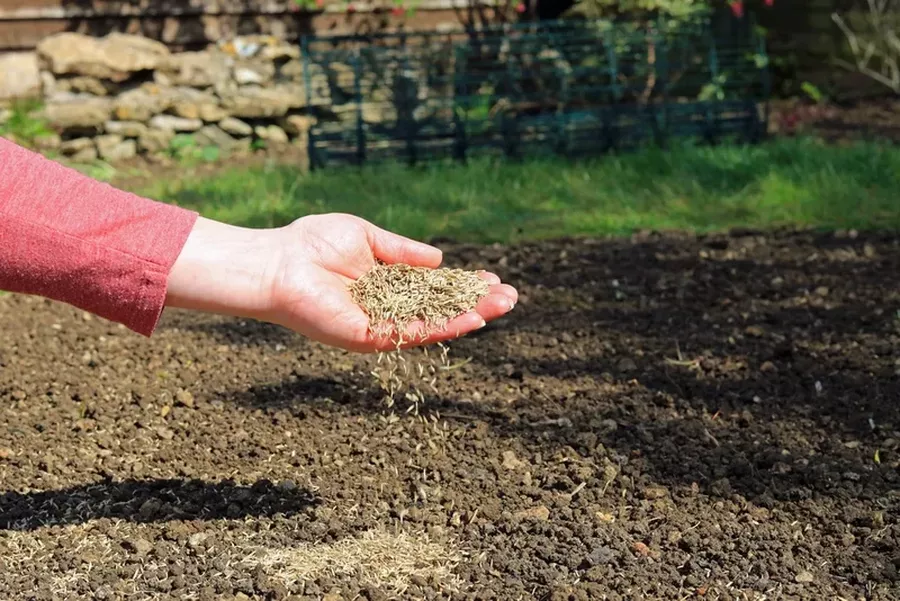 A Practical Guide to Mixing Grass Seed with Topsoil for Overseeding